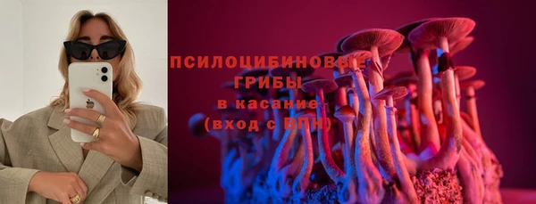 стафф Балахна